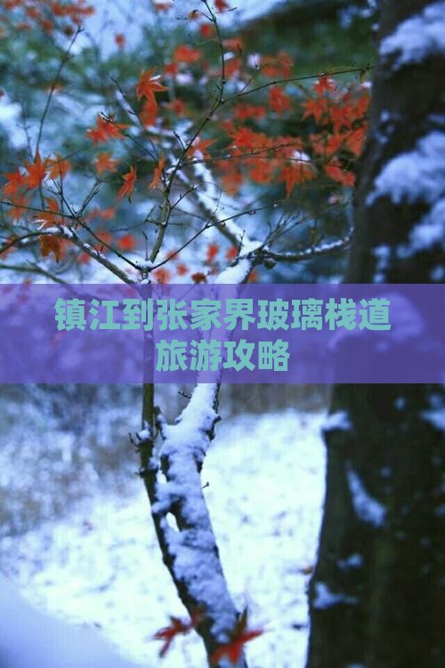 镇江到张家界玻璃栈道旅游攻略