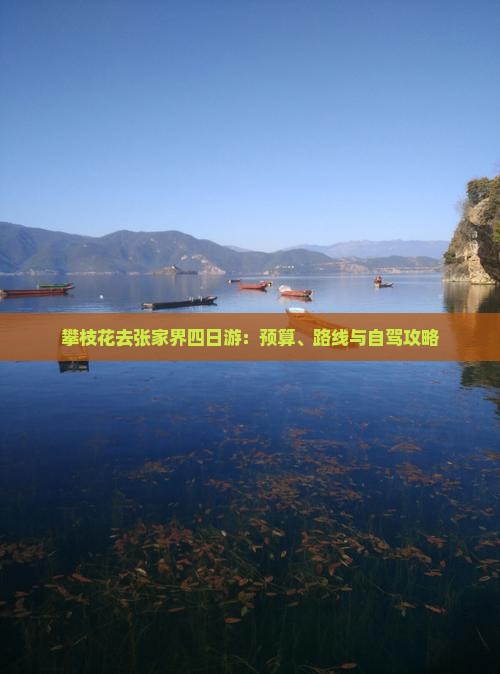 攀枝花去张家界四日游：预算、路线与自驾攻略