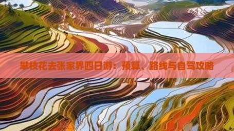 攀枝花去张家界四日游：预算、路线与自驾攻略