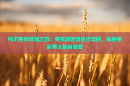 柯尔克孜风情之旅：克孜勒苏自由行攻略，探秘张家界大峡谷美景