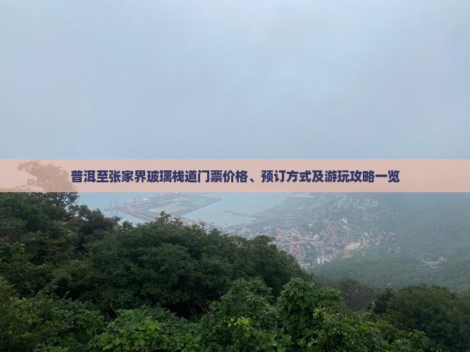 普洱至张家界玻璃栈道门票价格、预订方式及游玩攻略一览