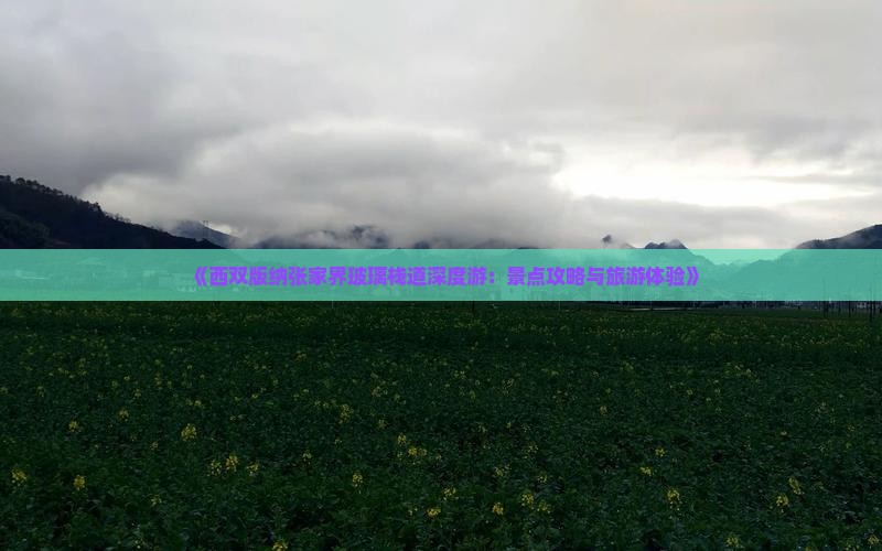 《西双版纳张家界玻璃栈道深度游：景点攻略与旅游体验》