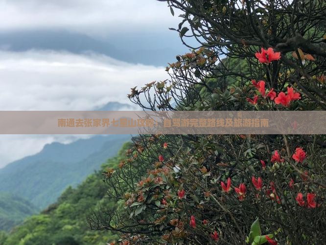 南通去张家界七星山攻略：自驾游完整路线及旅游指南