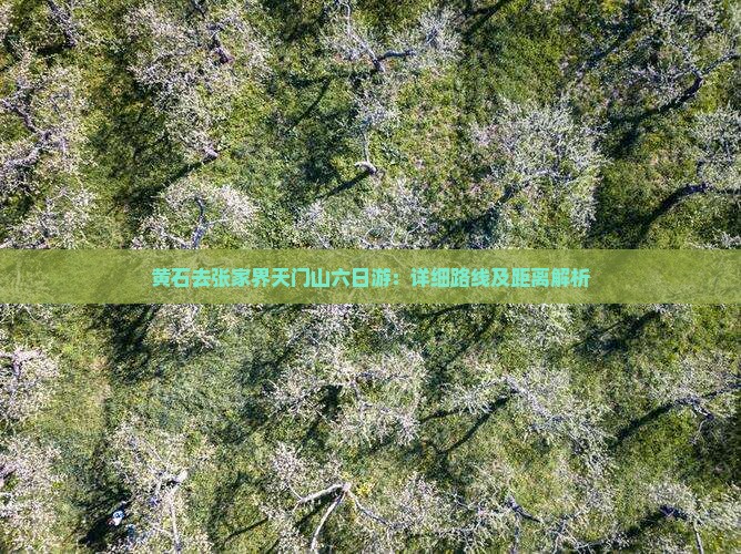 黄石去张家界天门山六日游：详细路线及距离解析