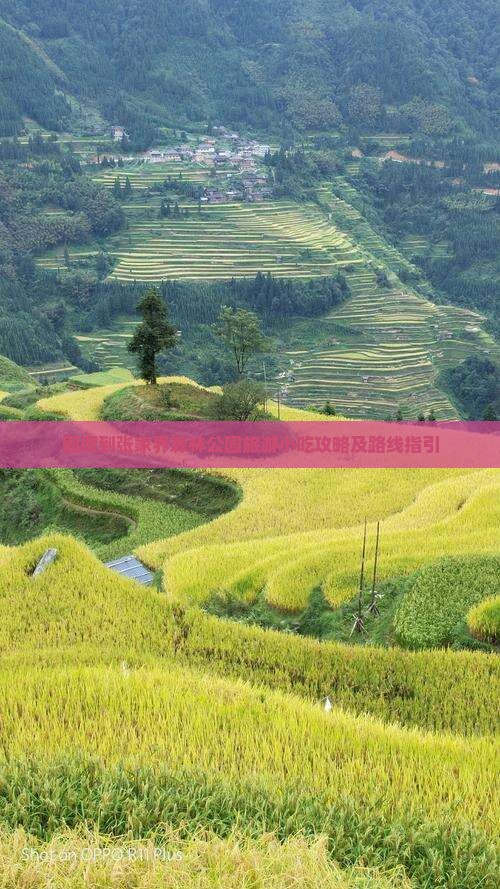 固原到张家界森林公园旅游小吃攻略及路线指引