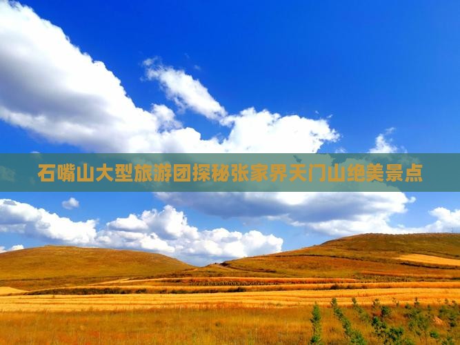 石嘴山大型旅游团探秘张家界天门山绝美景点