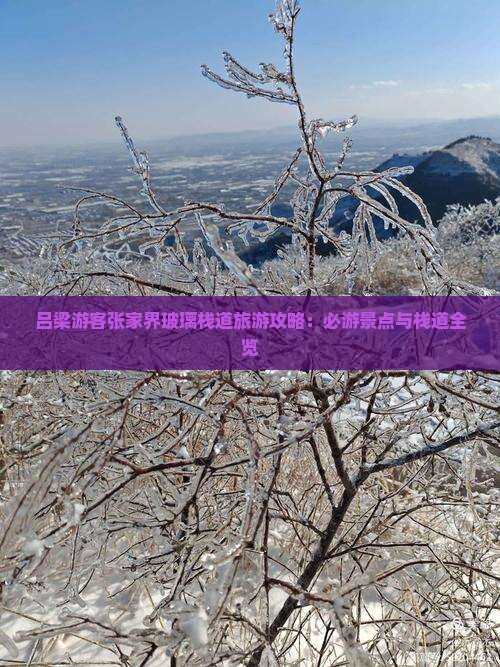 吕梁游客张家界玻璃栈道旅游攻略：必游景点与栈道全览