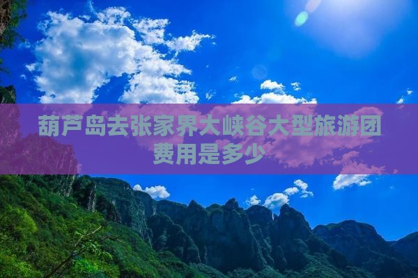 葫芦岛去张家界大峡谷大型旅游团费用是多少