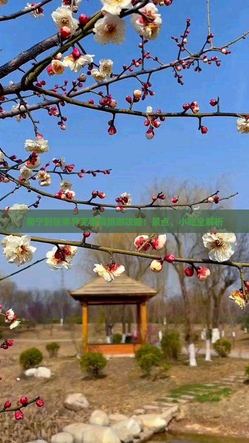南宁到张家界芙蓉镇旅游攻略：景点、小吃全解析