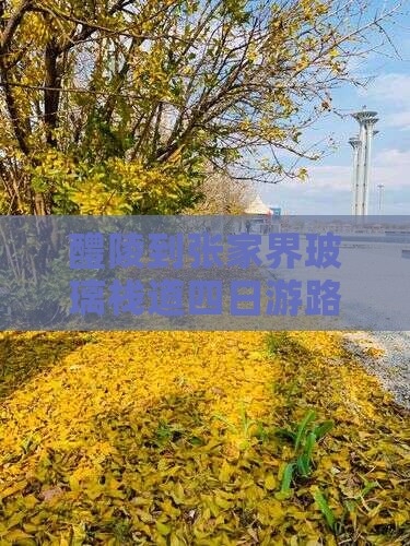 醴陵到张家界玻璃栈道四日游路线