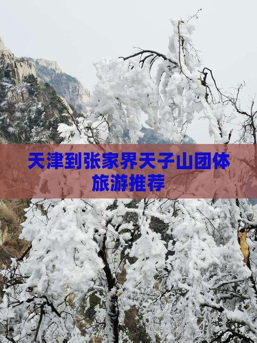 天津到张家界天子山团体旅游推荐