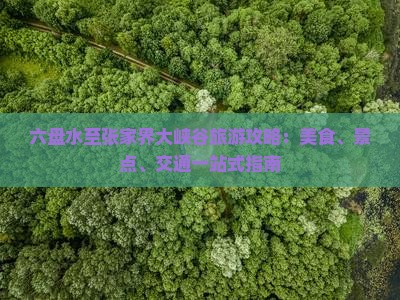 六盘水至张家界大峡谷旅游攻略：美食、景点、交通一站式指南