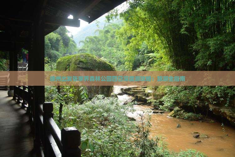 徐州出发张家界森林公园四日深度游攻略：旅游全指南