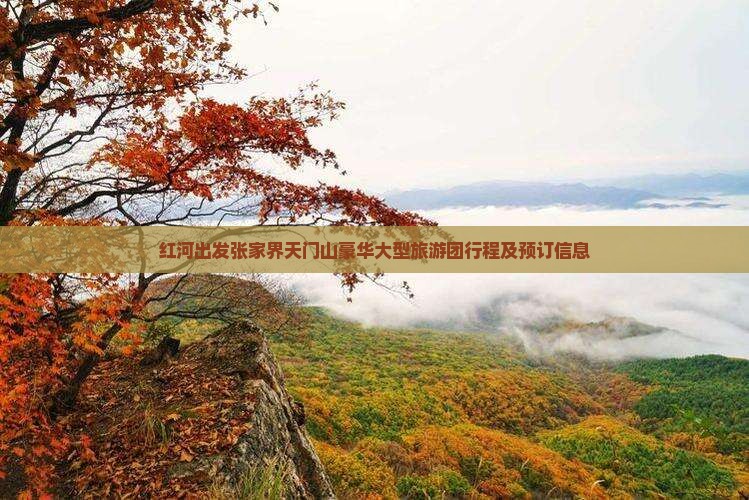 红河出发张家界天门山豪华大型旅游团行程及预订信息