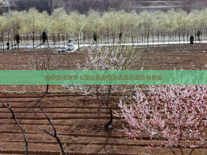 拉萨到张家界七星山自由团距离及机票价格查询