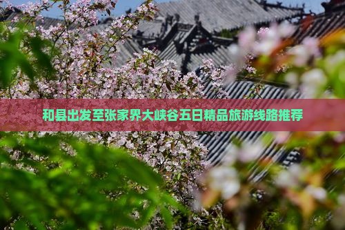 和县出发至张家界大峡谷五日精品旅游线路推荐