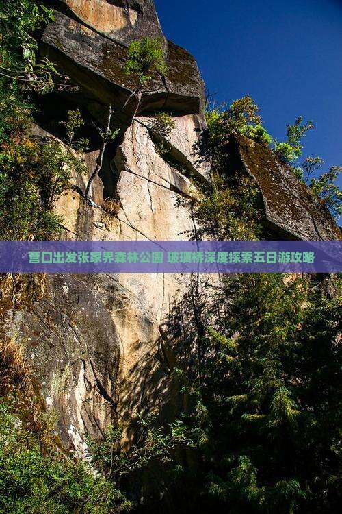 营口出发张家界森林公园+玻璃桥深度探索五日游攻略