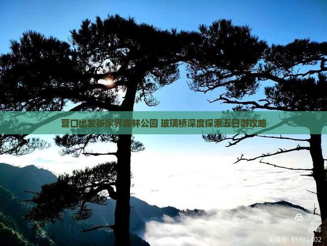 营口出发张家界森林公园+玻璃桥深度探索五日游攻略