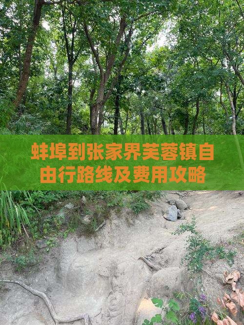 蚌埠到张家界芙蓉镇自由行路线及费用攻略