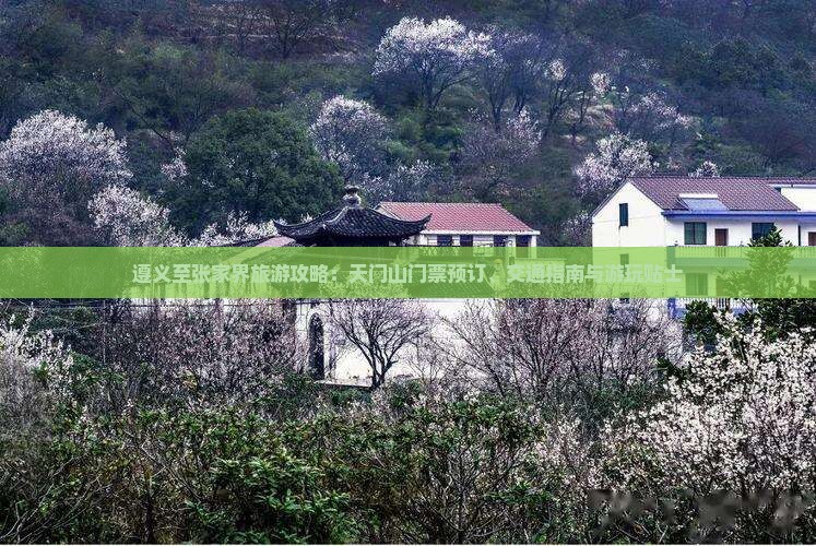 遵义至张家界旅游攻略：天门山门票预订、交通指南与游玩贴士