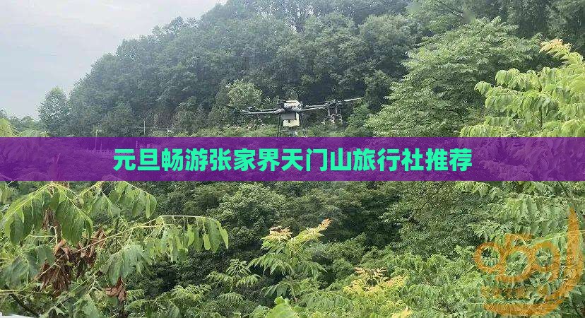 元旦畅游张家界天门山旅行社推荐