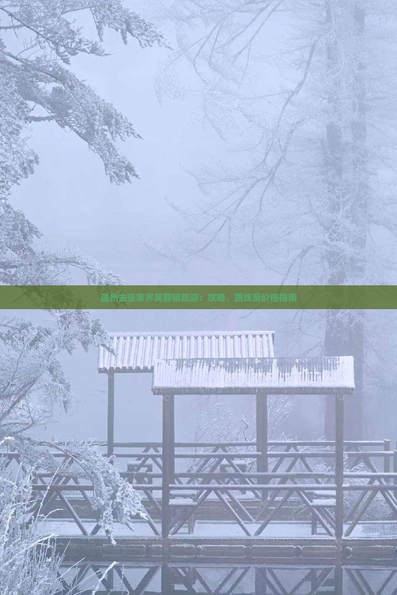 温州去张家界芙蓉镇旅游：攻略、路线及价格指南