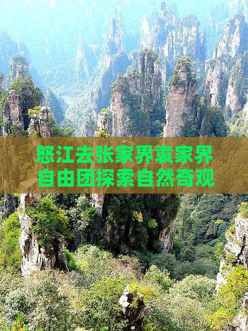 怒江去张家界袁家界自由团探索自然奇观之旅