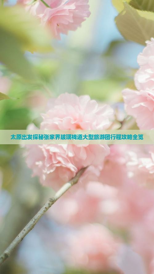 太原出发探秘张家界玻璃栈道大型旅游团行程攻略全览