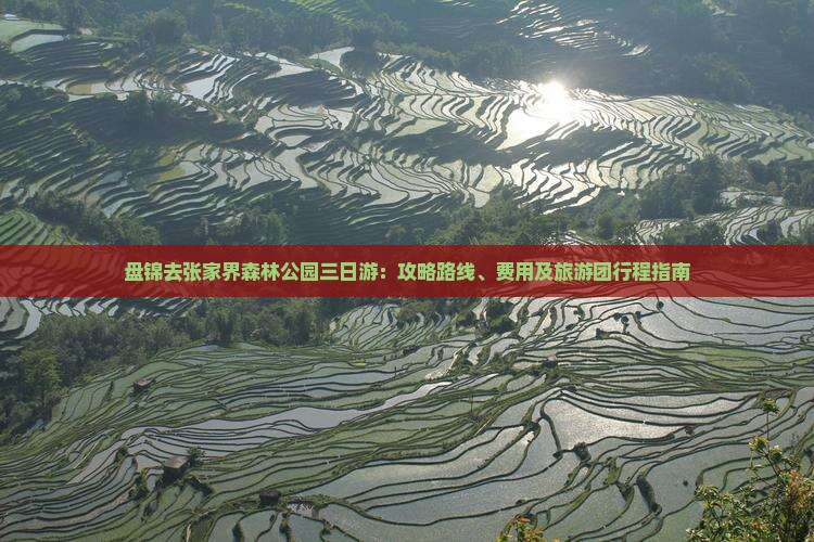 盘锦去张家界森林公园三日游：攻略路线、费用及旅游团行程指南