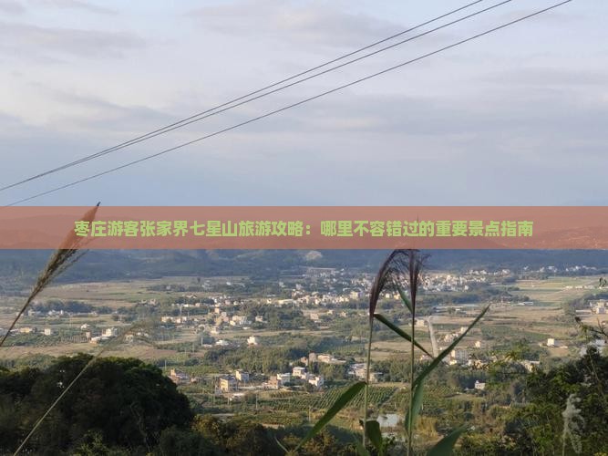 枣庄游客张家界七星山旅游攻略：哪里不容错过的重要景点指南