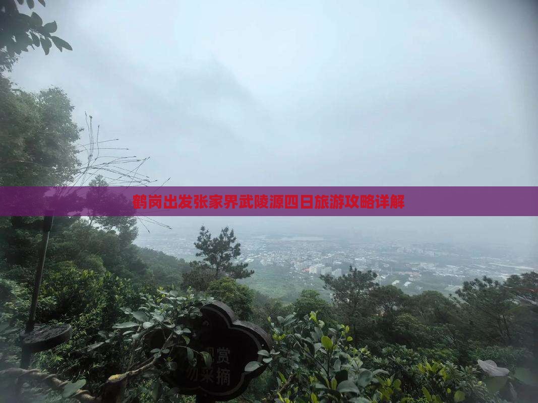 鹤岗出发张家界武陵源四日旅游攻略详解