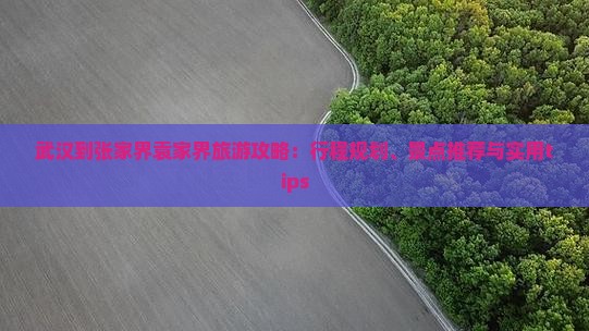 武汉到张家界袁家界旅游攻略：行程规划、景点推荐与实用tips