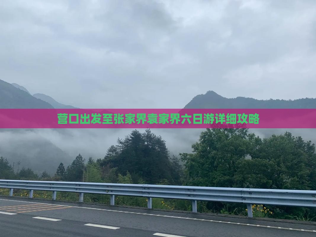 营口出发至张家界袁家界六日游详细攻略