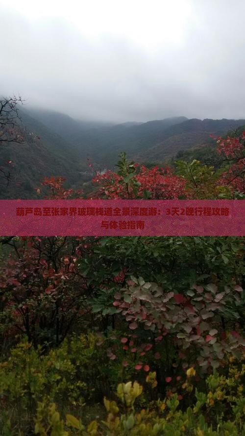 葫芦岛至张家界玻璃栈道全景深度游：3天2晚行程攻略与体验指南