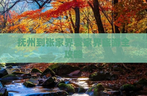 抚州到张家界袁家界旅游全攻略
