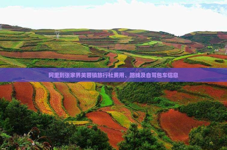 阿里到张家界芙蓉镇旅行社费用、路线及自驾包车信息