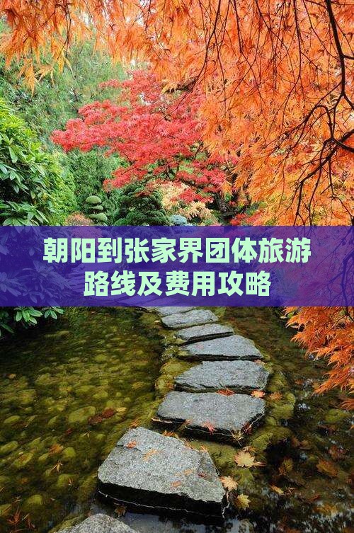 朝阳到张家界团体旅游路线及费用攻略