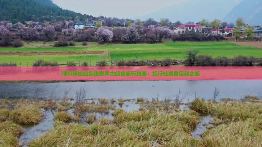 博尔塔拉拉到张家界大峡谷旅行攻略：旅行社量身定制之旅