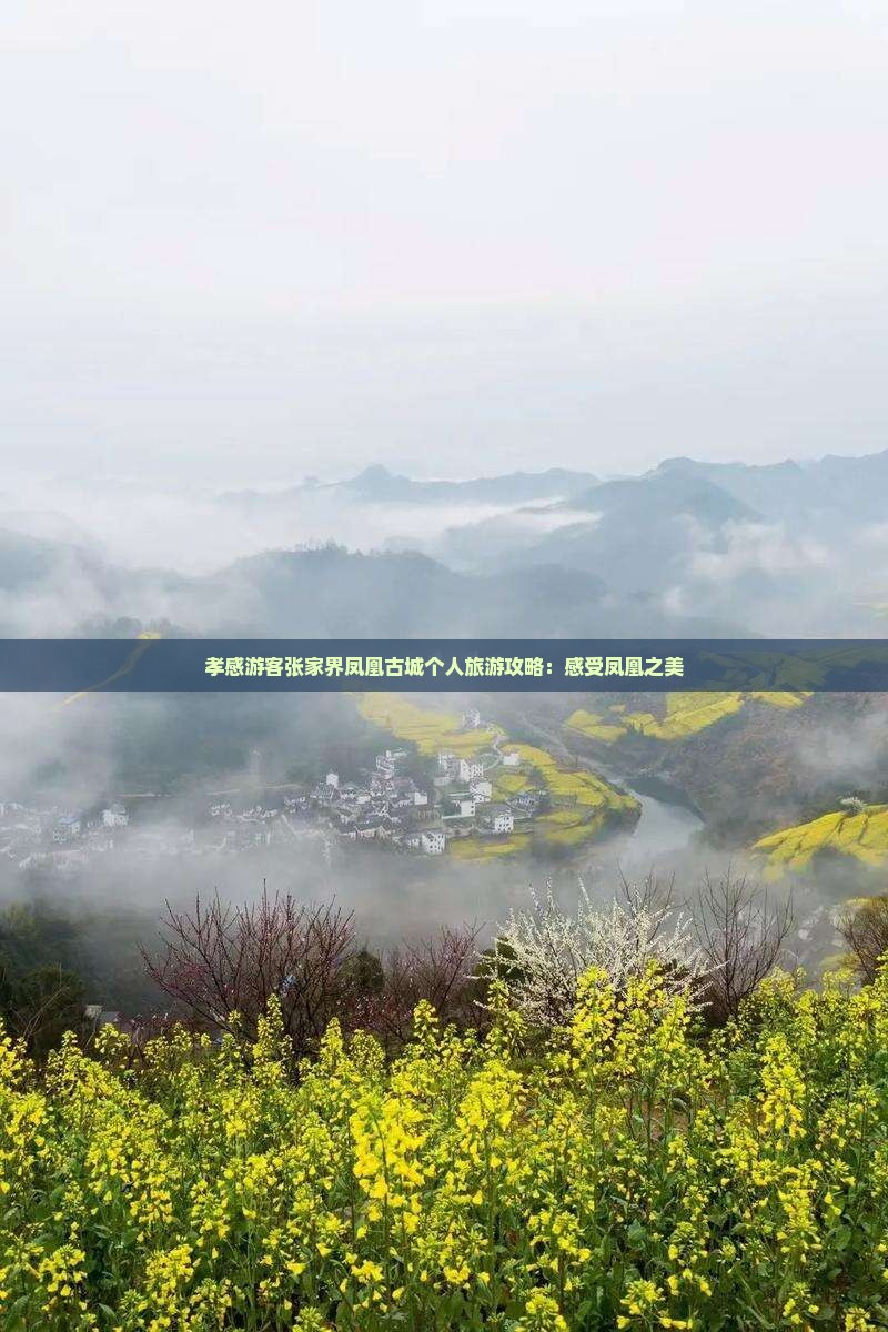 孝感游客张家界凤凰古城个人旅游攻略：感受凤凰之美
