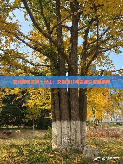 安顺至张家界七星山：交通攻略与景点深度游指南