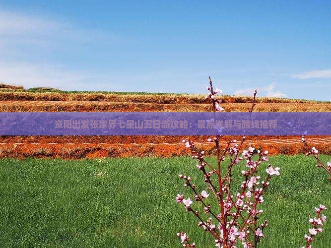 资阳出发张家界七星山五日游攻略：景点详解与路线推荐