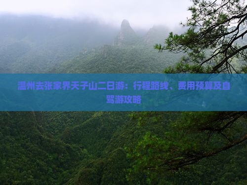 温州去张家界天子山二日游：行程路线、费用预算及自驾游攻略