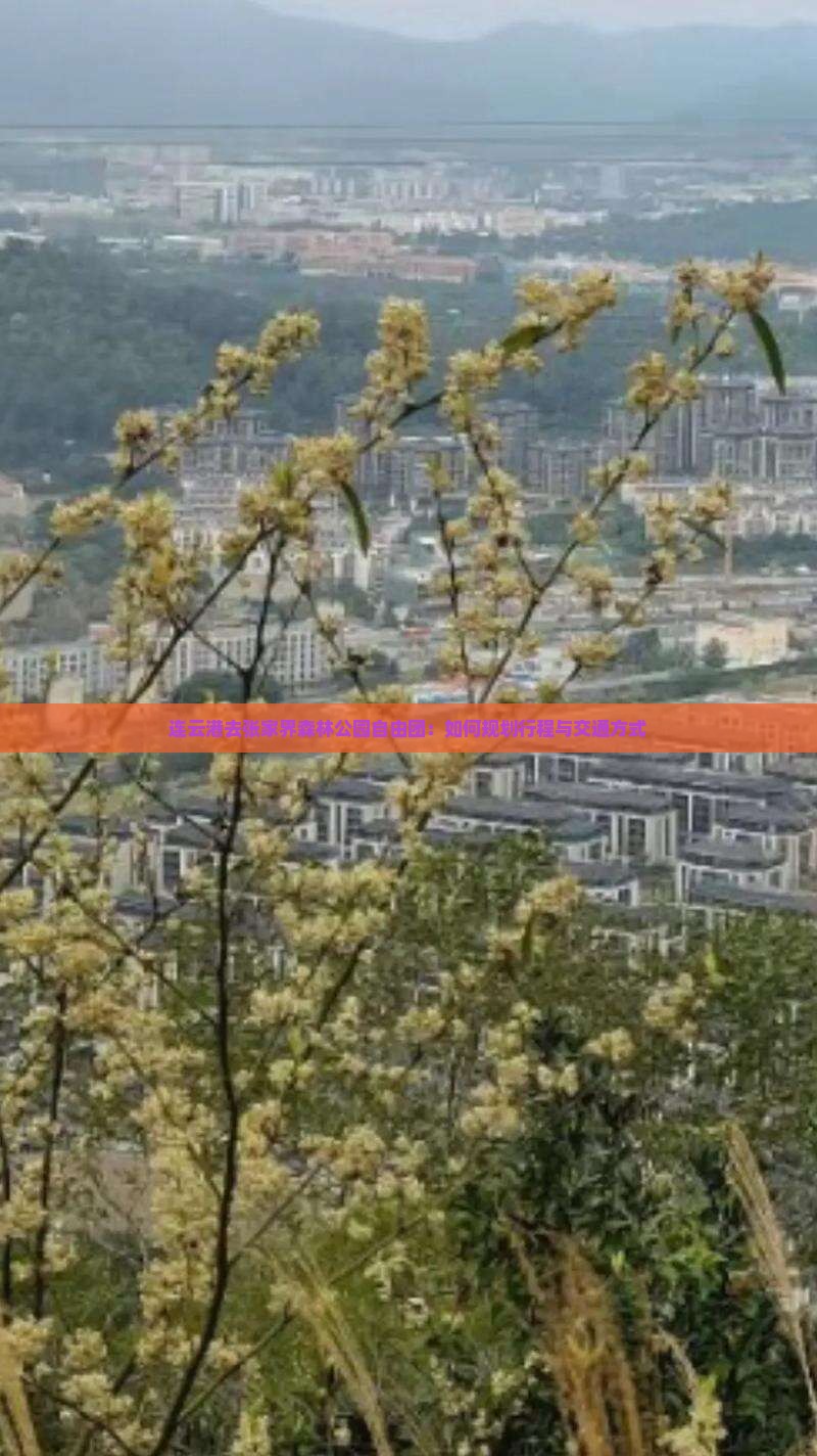 连云港去张家界森林公园自由团：如何规划行程与交通方式