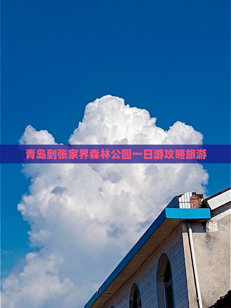 青岛到张家界森林公园一日游攻略旅游