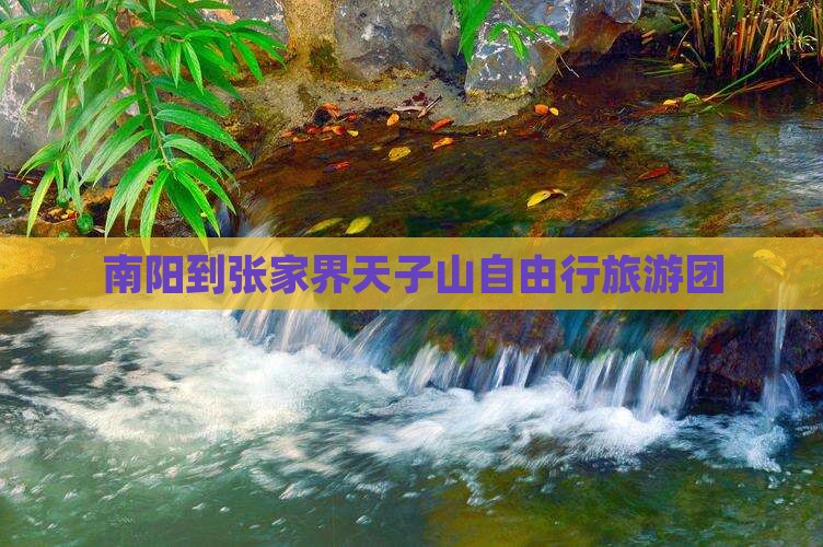 南阳到张家界天子山自由行旅游团