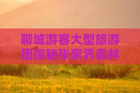 聊城游客大型旅游团探秘张家界森林公园之旅