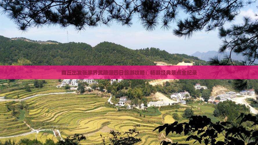 商丘出发张家界武陵源四日旅游攻略：畅游经典景点全纪录