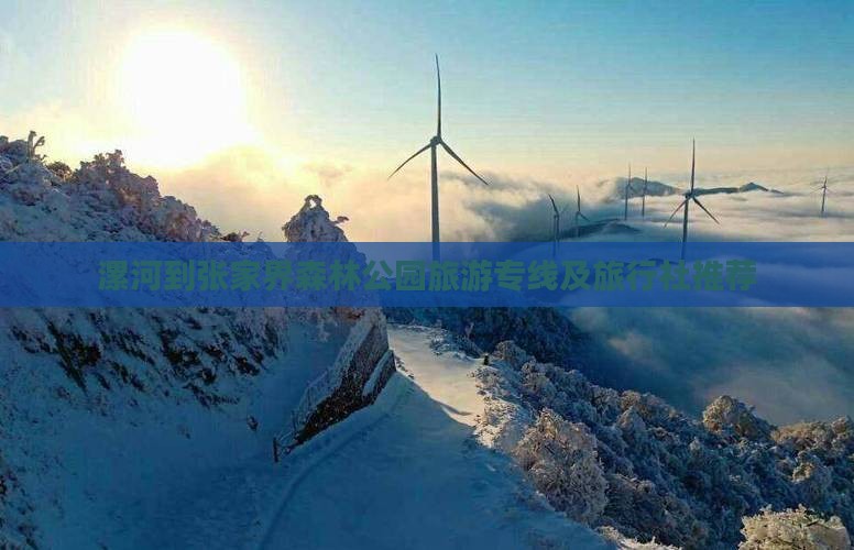 漯河到张家界森林公园旅游专线及旅行社推荐
