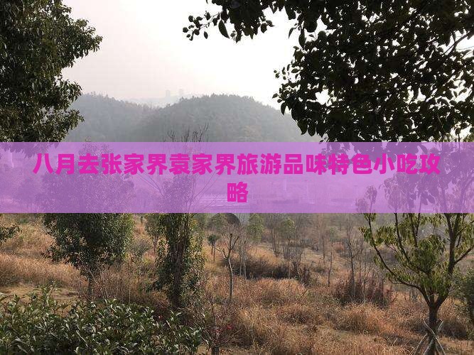 八月去张家界袁家界旅游品味特色小吃攻略
