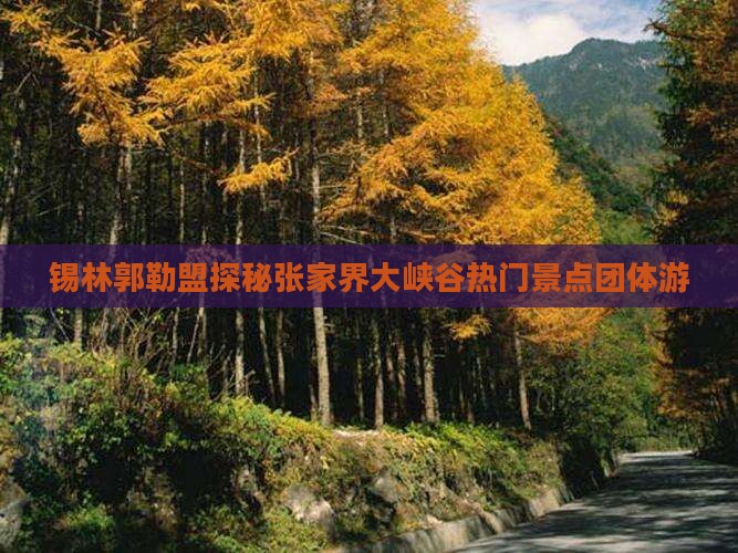 锡林郭勒盟探秘张家界大峡谷热门景点团体游